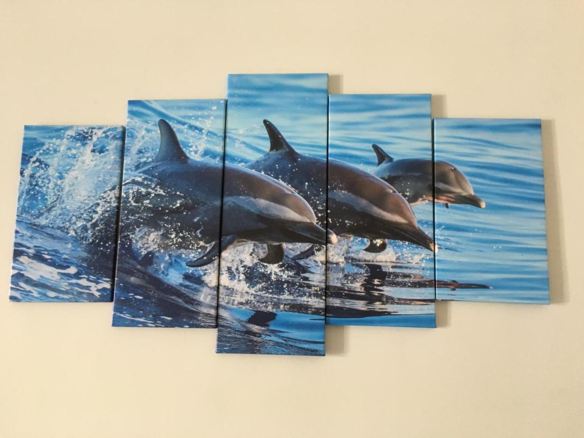 فيلا Dolphin Maeva Residencial Puerto Peñasco المظهر الخارجي الصورة